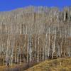 Slate River Ridgeline