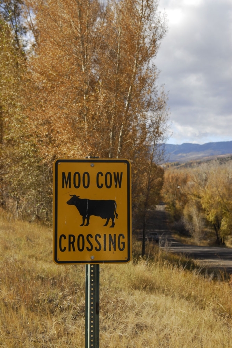 Moo Cow Crossing