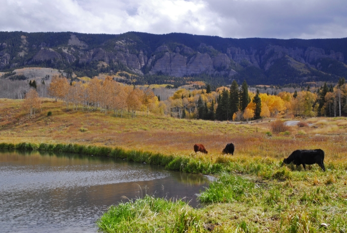 Beaver Lake