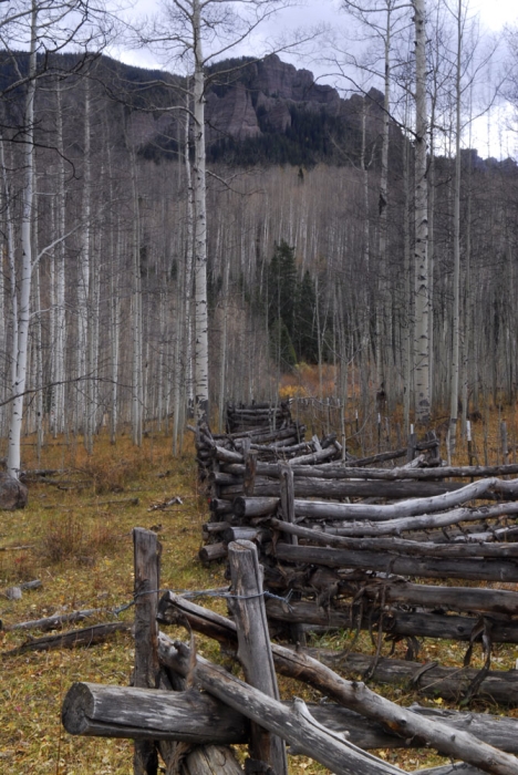 Bole Fence Near Silver Jack