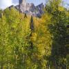 Chimney Rock