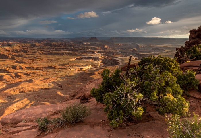 Late Afternoon Light