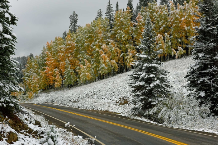 Kebler Pass Wonderland