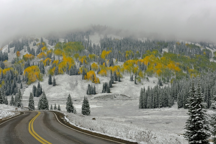 East of Kebler Pass