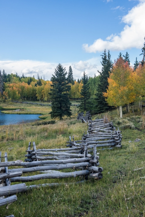 Beaver Lake Boll Fence