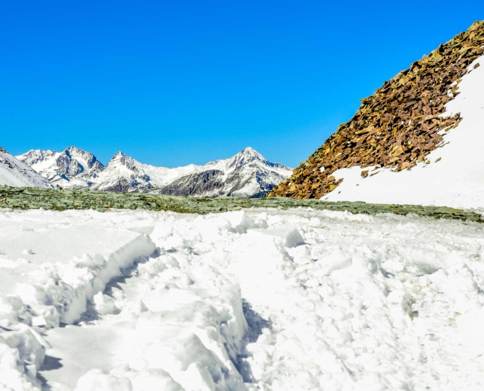 Ophir Pass Summit