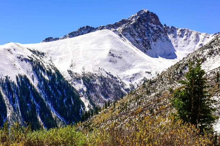 Climbing to Ophir Pass