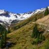 The Road to Ophir Pass