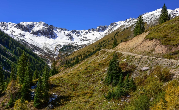 The Road to Ophir Pass