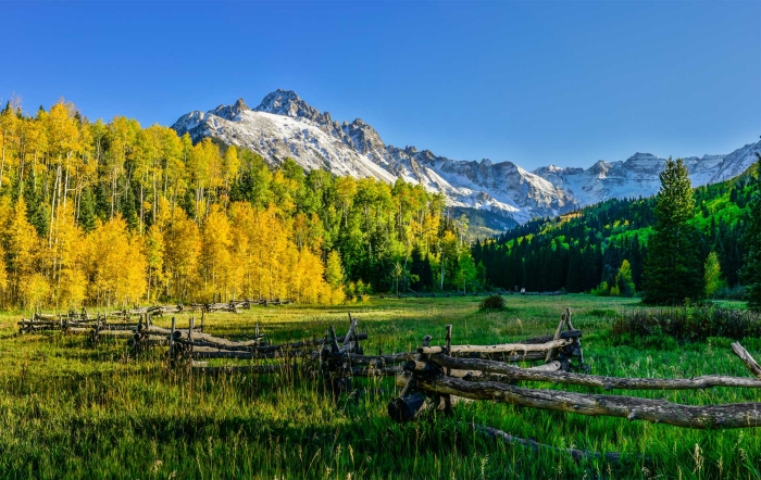 Blue Lakes Meadow +