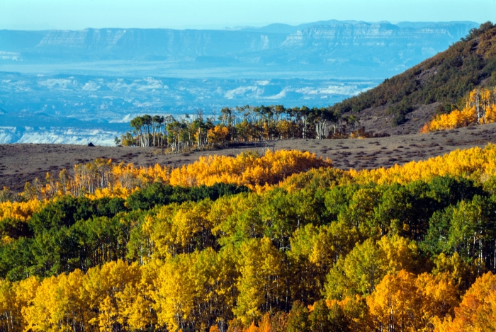 Dixie National Forest