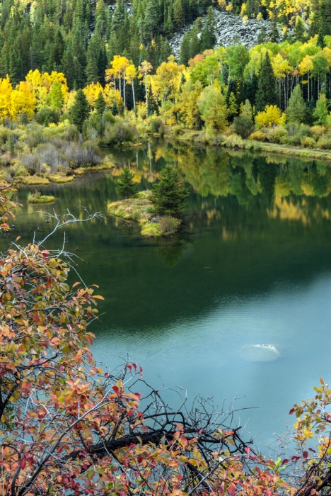 Independence Pass Pond