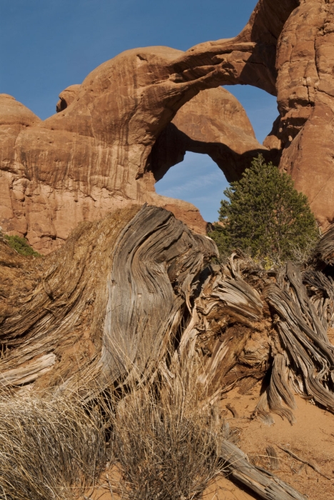 Double Arch