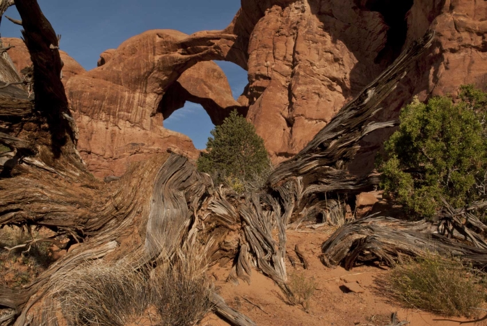 Double Arch