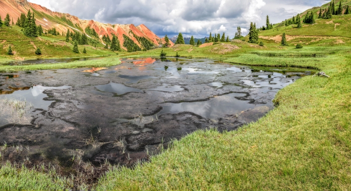 Grey Copper Gulch +