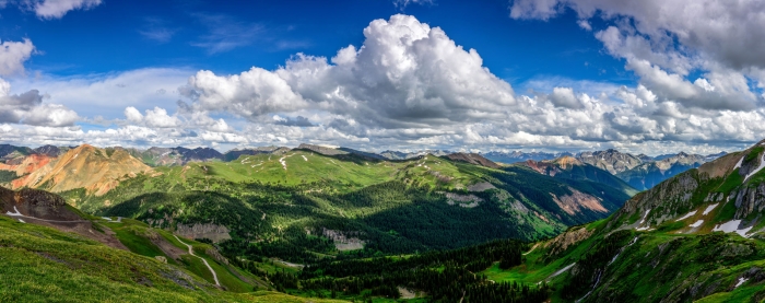 Black Bear Panoramic +