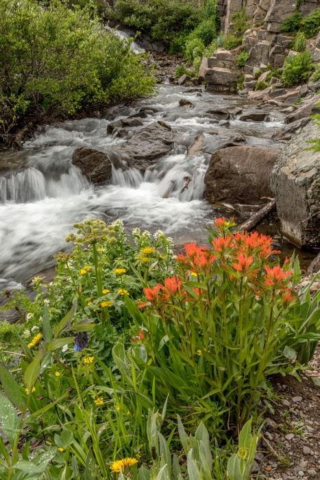 Below the Falls