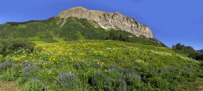 Gothic Mountain Panoramic +