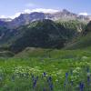 Looking Toward Governor Basin