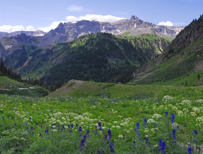 Looking Toward Governor Basin