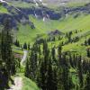 The Road to Governor Basin