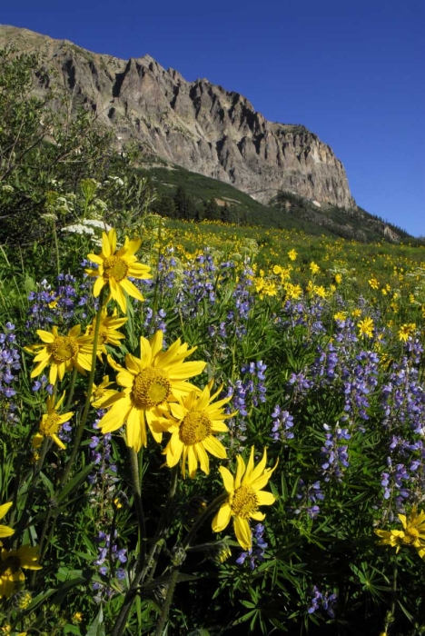 Gothic Mountain