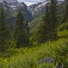 Along Washington Gulch Road