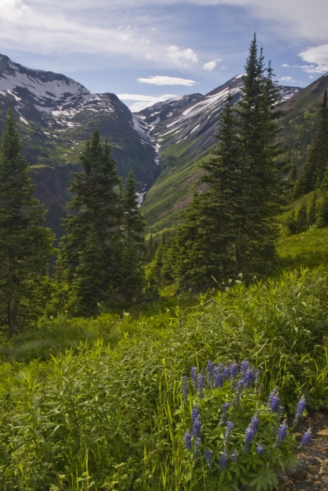 Along Washington Gulch Road