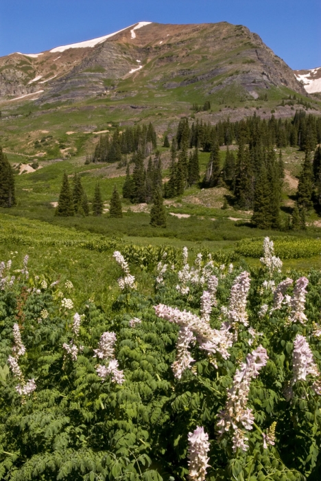 Above Lake Irwin 