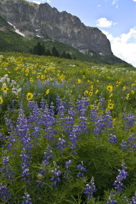 Gothic Mountain