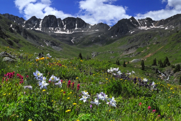 Columbine Country +