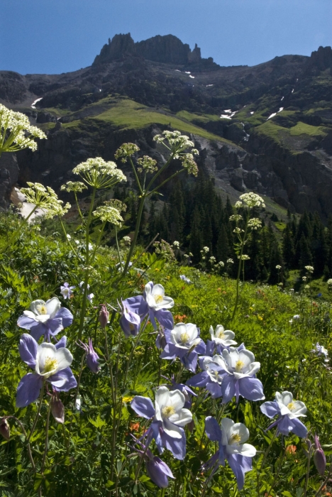 Potosi Peak