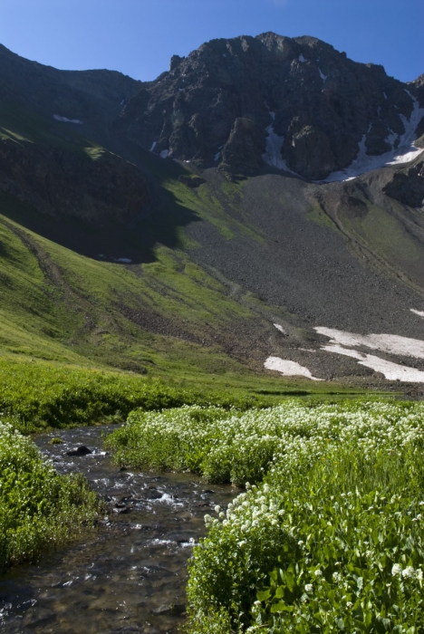 "Secret" Basin Stream