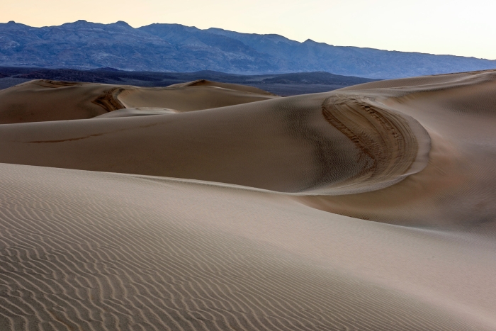 Ripples in the Sand