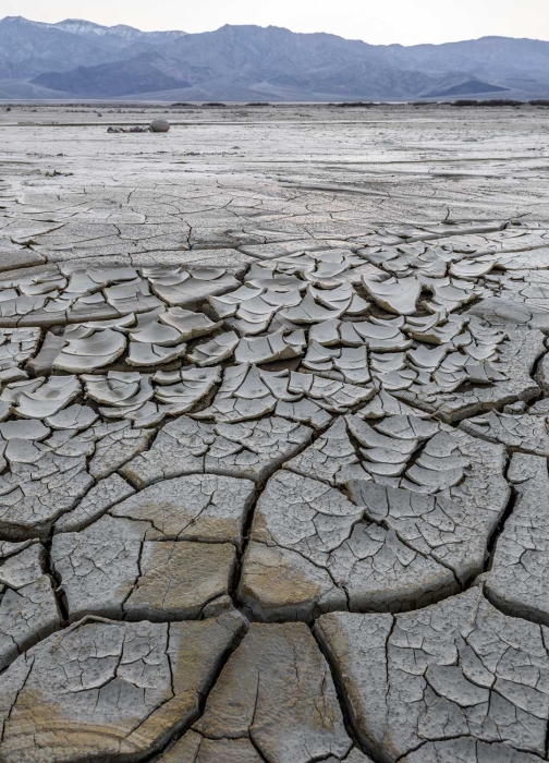 Mud Cracks and Curls