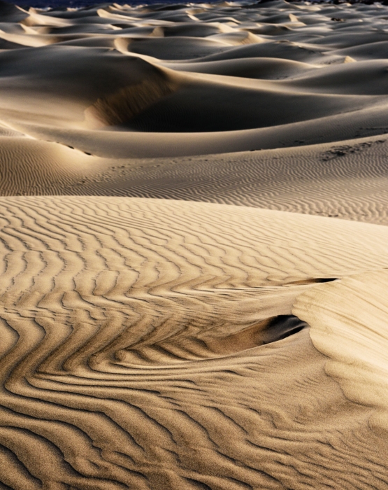 Morning Light at Mesquite Dunes