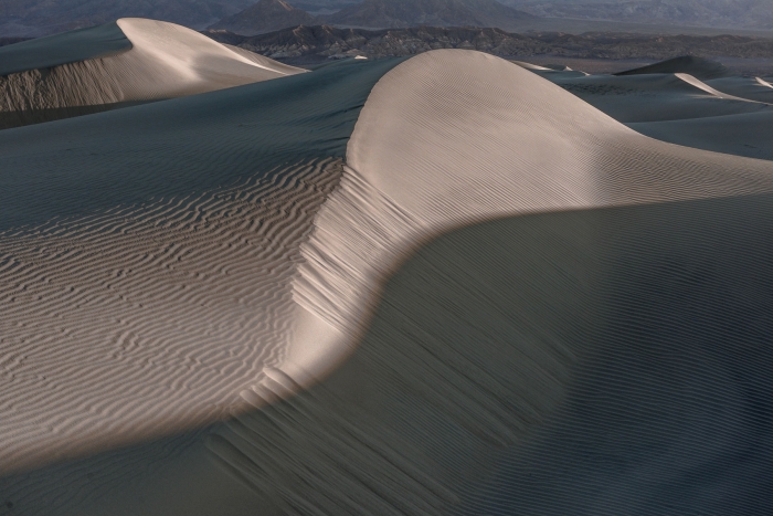 Morning Light at Mesquite Dunes