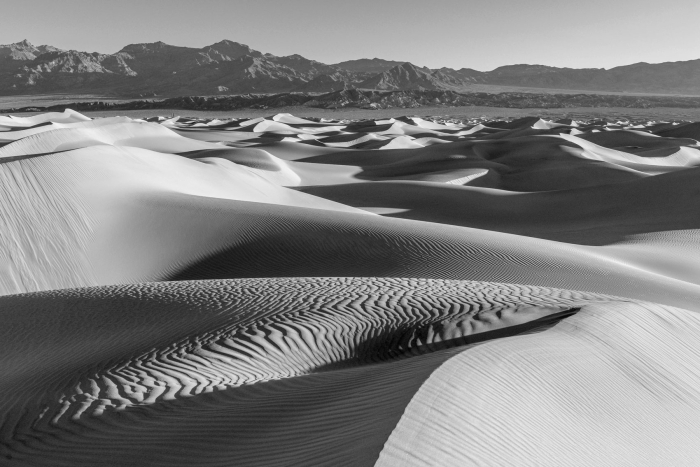 Ripples and Shadows at Mesquite Dunes