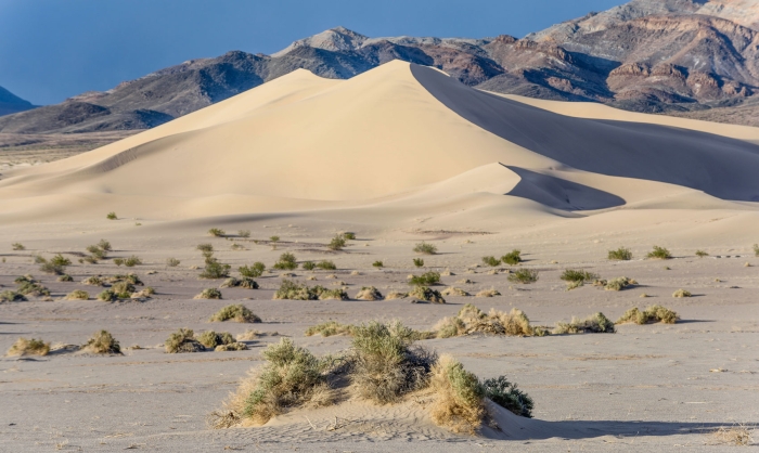 Ibex Dunes