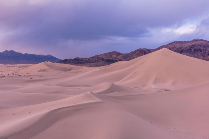 Ibex Dunes