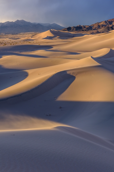 Ibex Dunes "Storm"