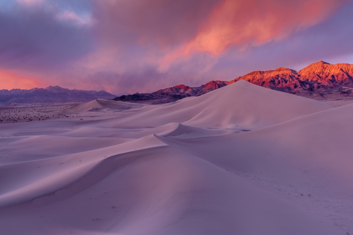 Ibex Dunes Sunset