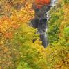 Amicolola Falls