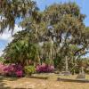 Oaks, Palms, Azaleas, Spanish Moss and Memorials