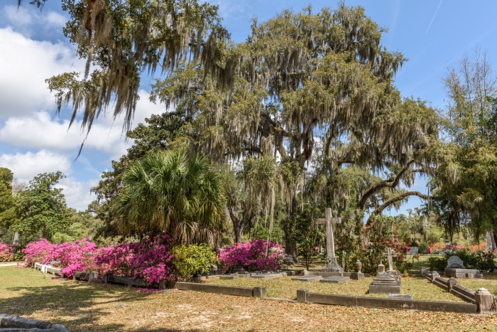 Oaks, Palms, Azaleas, Spanish Moss and Memorials