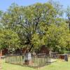 Colonial Cemetery