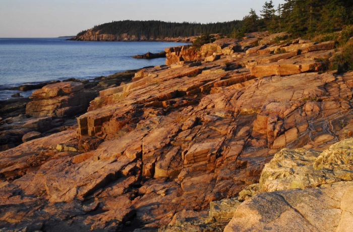 Maine Shoreline +