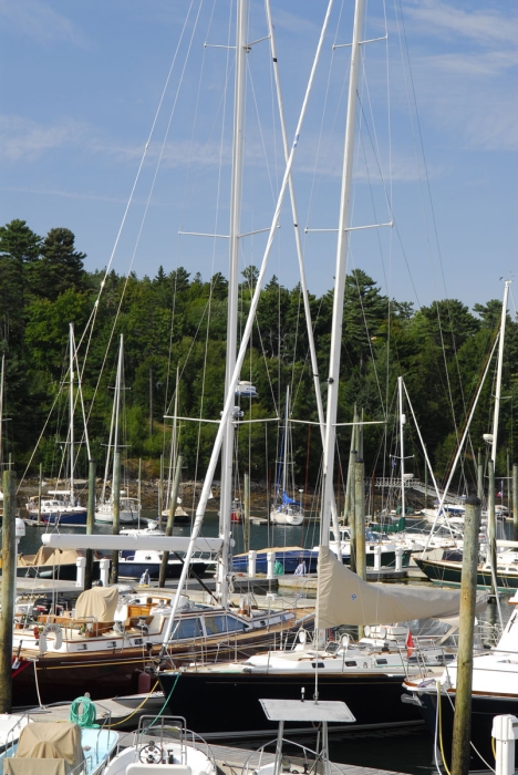 Boats, Boats, and More Boats