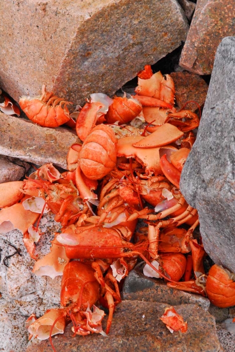 Lobster Graveyard