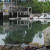 Back Bay Lobster Docks